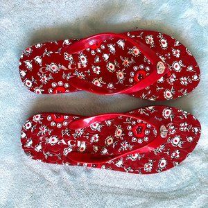 🆕 Coach Abbigail Floral Rubber Sandal in Red